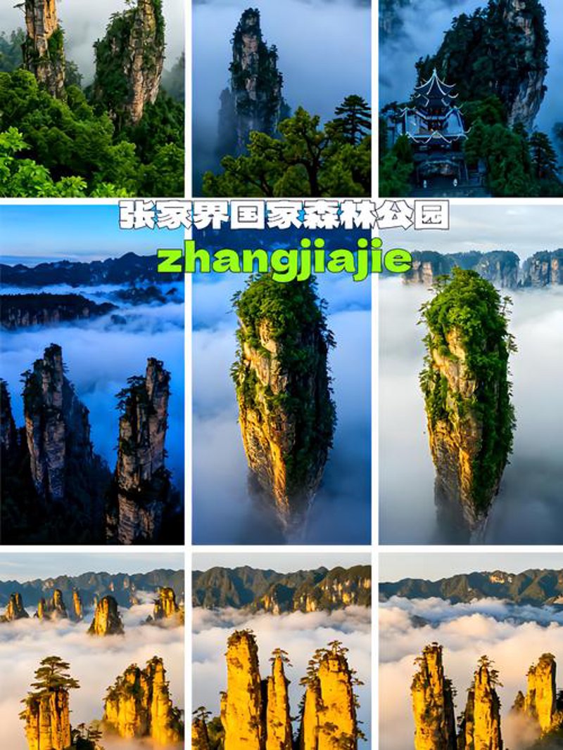 探寻自然之美:张家界定制游风起云涌